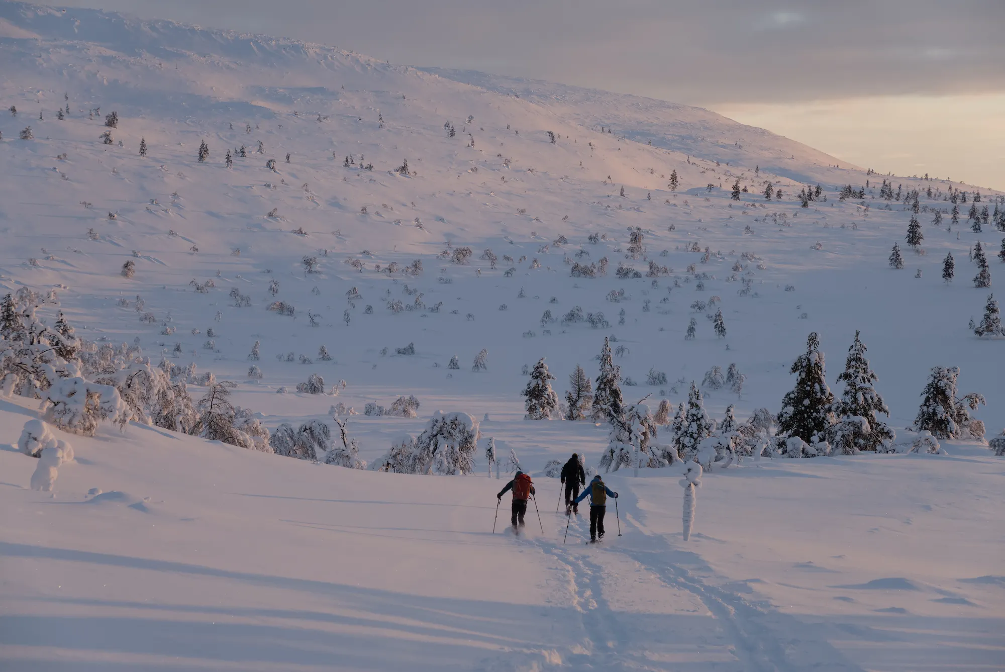 Backcountry skiing through Finnish Lapland