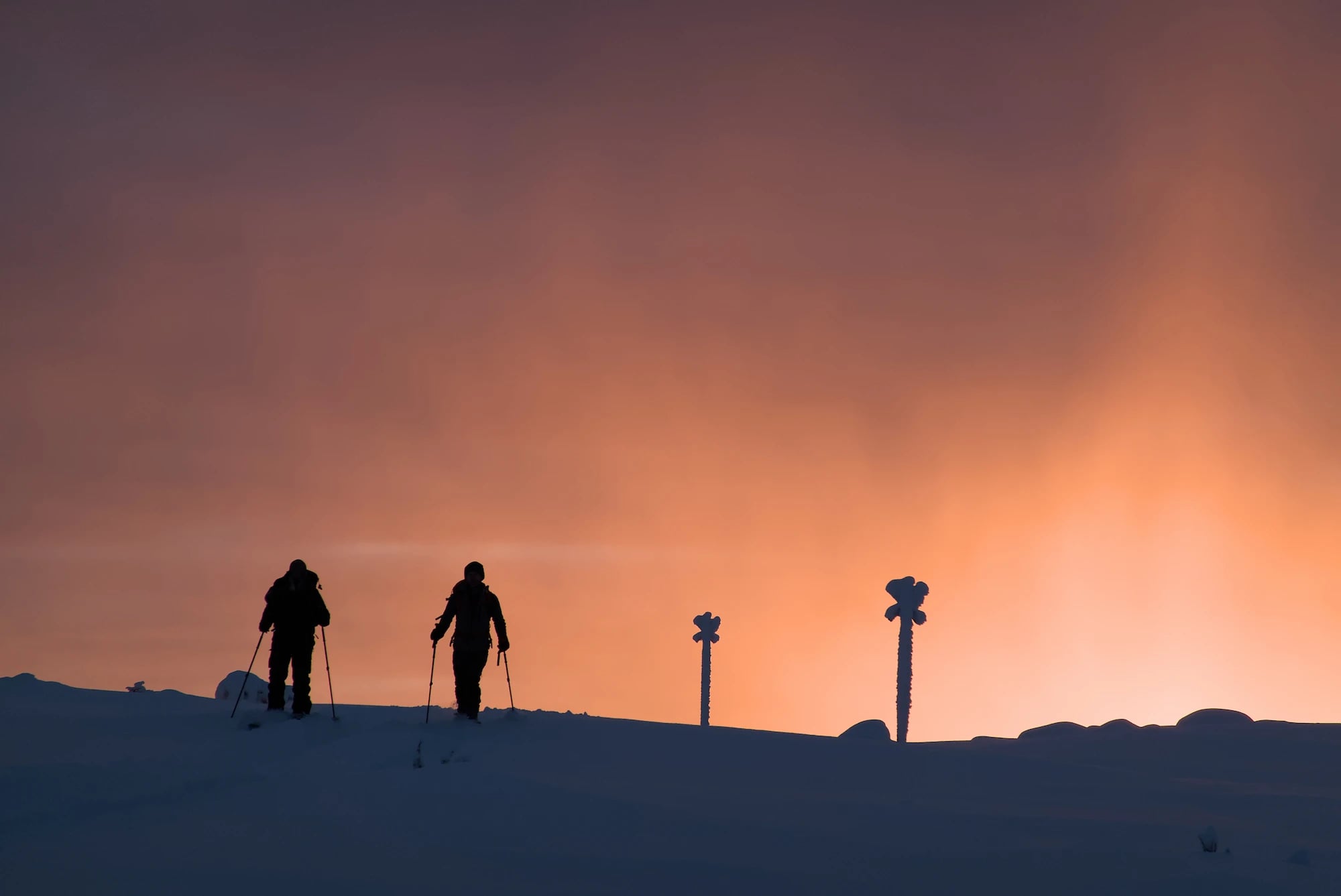 Backcountry skiers crossing open fells on the Hetta-Pallas route