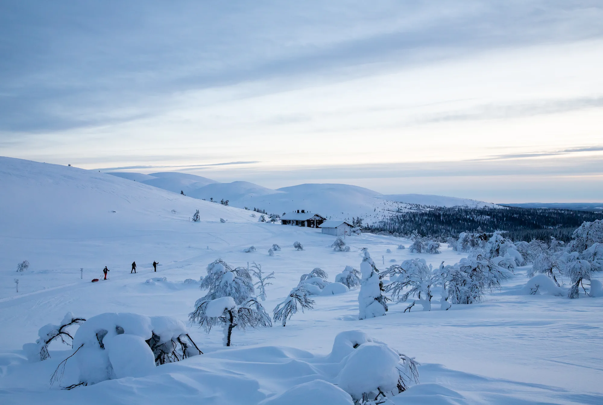 Wilderness hut and snowy landscape at Nammalakuru