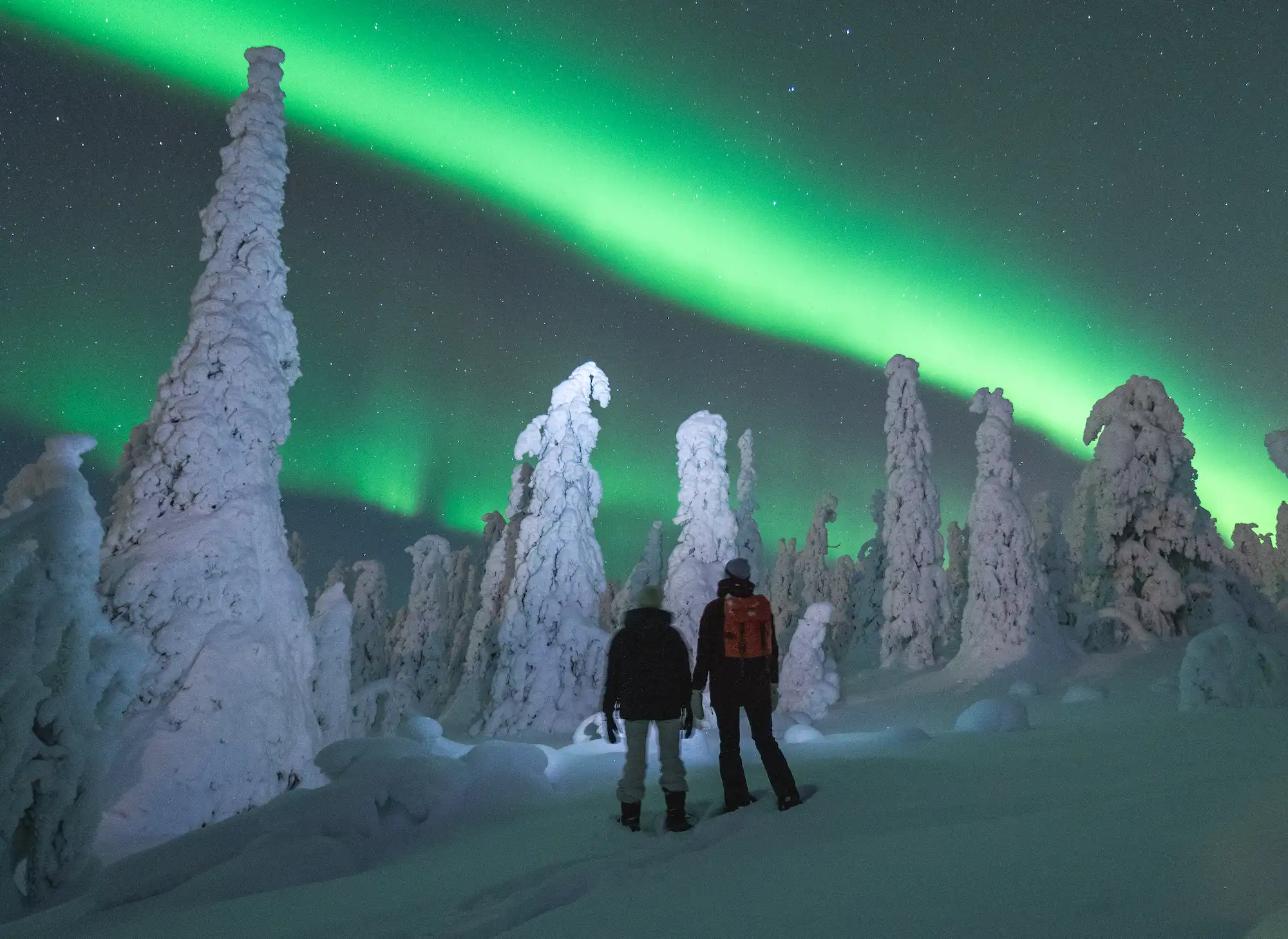 Night snowshoeing through forest around Ylläs, Finnish Lapland